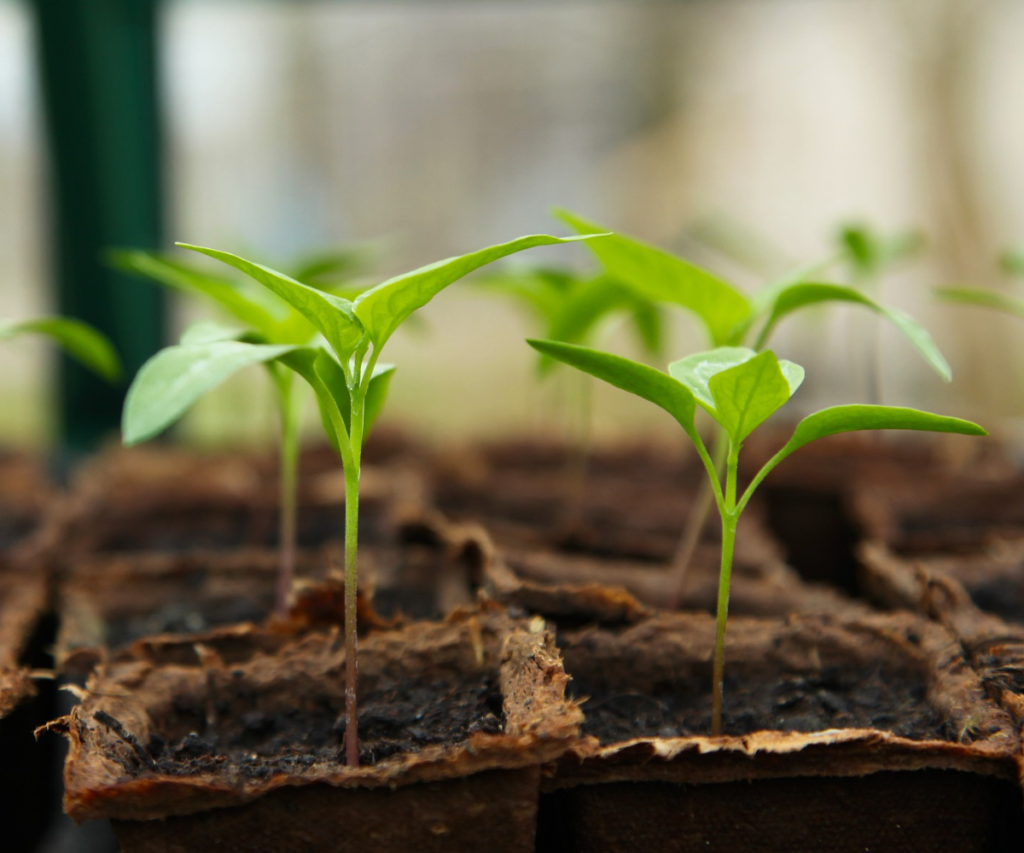 email copywriting service orange county ca